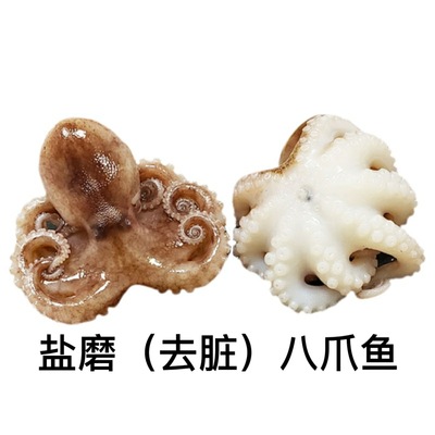 octopus Salt grinding 9 Octopussy octopus Visceral Spicy and spicy Seafood