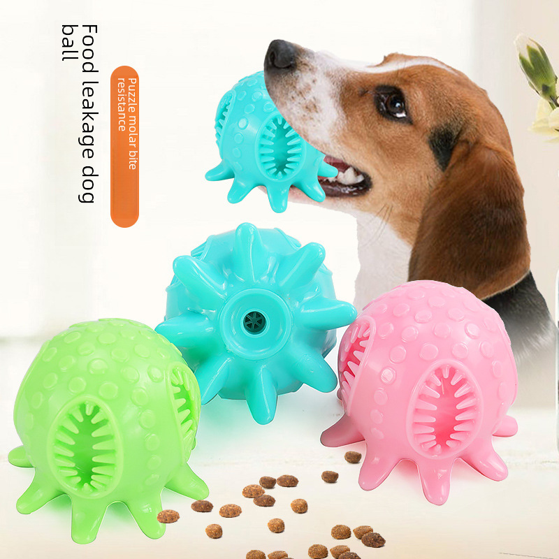 Interactive toy