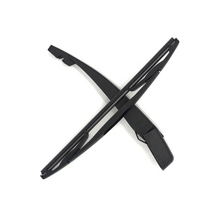 ����������m�ø������� ����˹����˹ �����A������̽�U�Һ���ˢ