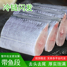 带鱼段批发新鲜冷冻海鲜刀鱼中段鲜活带鱼段特大海鱼东海带鱼批发