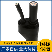 廠供YFD-WDUB1N-YJY YFZ-WDUB1N-YJY無鹵無毒耐火多芯預分支電纜