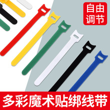 �������i����������ճħ�g�N�̶�������늾�����������ħ�g�N����