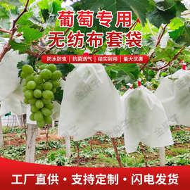 无纺布水果套袋丝瓜枇杷葡萄防鸟防虫保护袋专用扎丝一体瓜果套袋