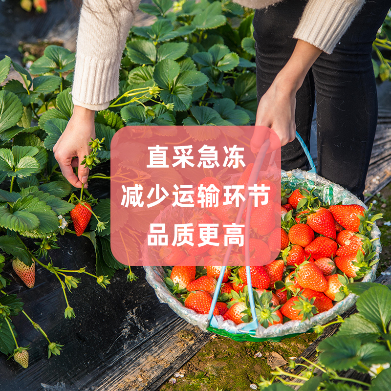 冷冻草莓新鲜2斤榨汁烘焙商用冷冻水果速冻红颜奶油草莓冷饮茶饮