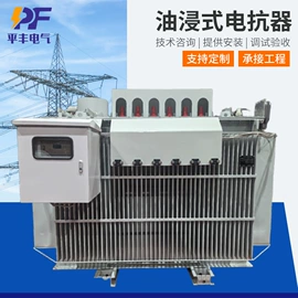 箱式变电站;干式变压器;电抗器