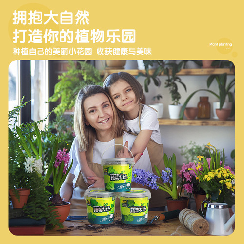 Children's diy hand-planted creative plants for kindergarten potted micro-gifts science experiment toys gifts wholesale