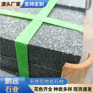 �����G��֦������ͥԺ�V�����B���ʯ�����҄e���⠝�ɒ��N��