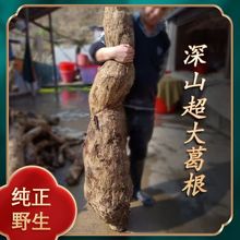 【包邮】葛根粉野生天然纯正葛根粉张家界野生柴葛粉500克