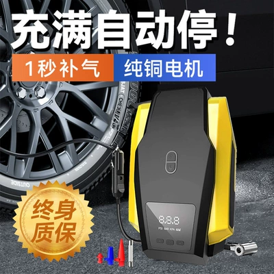 Car air pump double cylinder Hava nasosu