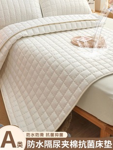 Summer Class A Waterproof Ureteral Mattress Protector Household Tatami Cushion Single Mat for Rental