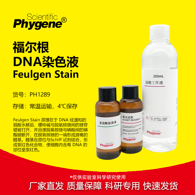 孚尔根染色液福尔根DNA染色液 Feulgen Stain [PH1289 PHYGENE]
