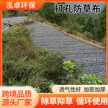园艺打孔防草布果树种植防草抑草布黑色PE防草布园林打孔防草布