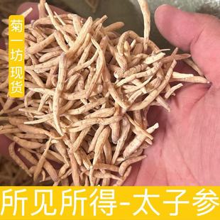 ̫�Ӆ���Ʒɢ�b��Ѭ����؛̫�Ӆ���ș�ĺ�������؛���l����