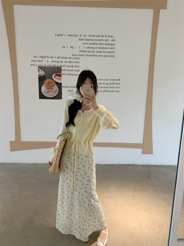 2025新款甜美风套装镂空长袖针织衫女秋季法式碎花半身长裙两件套|undefined