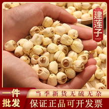 1000g�ؼ���������ɏ�Ӹ�؛ȥо�ք�ƤŴɏ��ȥƤ��ɏ������