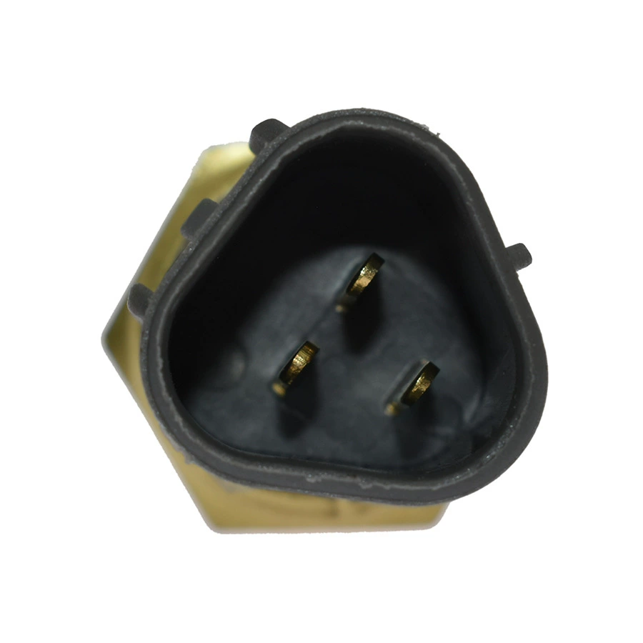 Thermometer, sensor