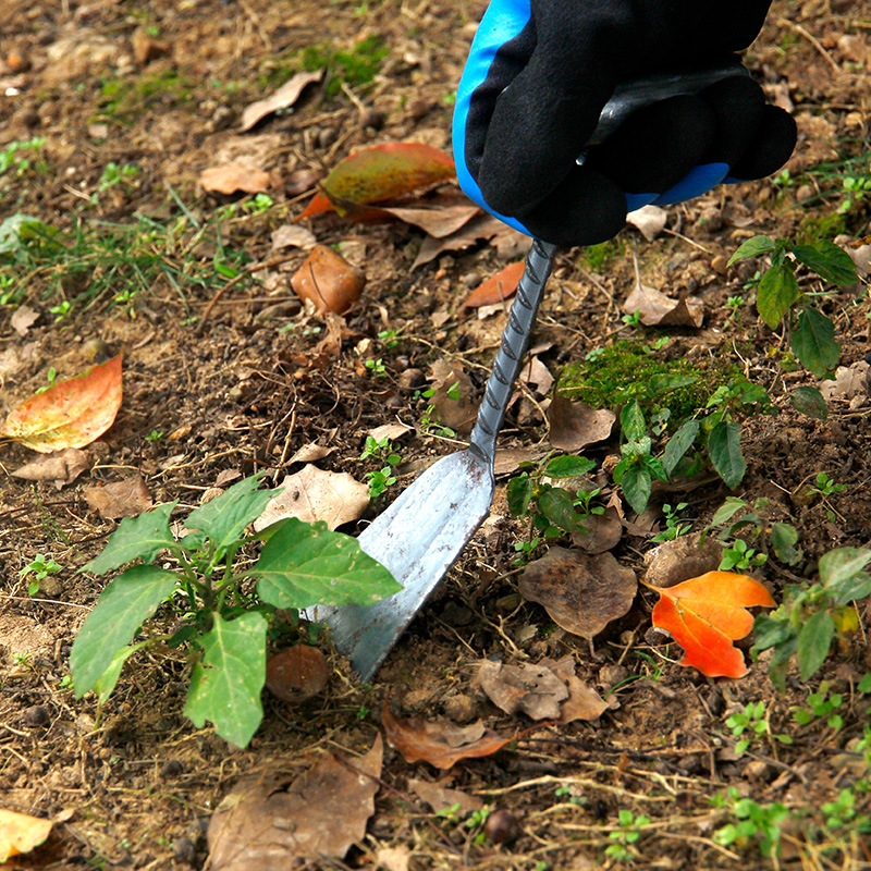 (2개) 야생 야채 파기 삽 구이 구식의 단조 꽃 재배자 도구 파고 토양 HERBOMETER 농업 마늘 파기 가정용 느슨한 토양 삽 스페이드