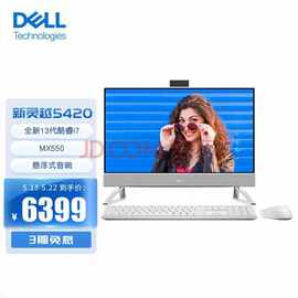 戴尔（DELL） 灵越5420一体机23.8英寸大屏办公电脑微边框台式机