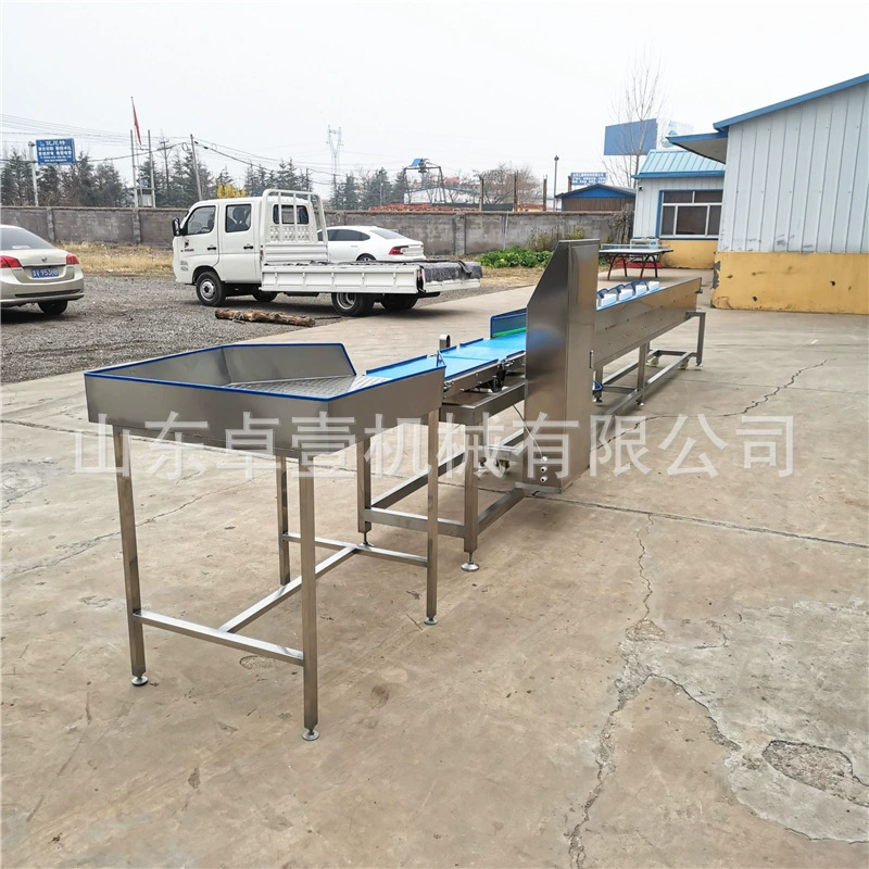 Онлайн-весы для весовых машин для контроля веса пищевых продуктов