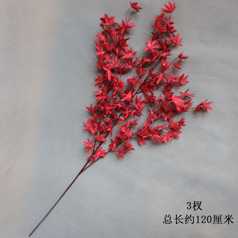 붉은 천 단풍잎