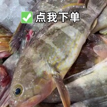 ������S����ʯ���~ �r���ك�ʯ���~ �ߙn��ϯ��S���