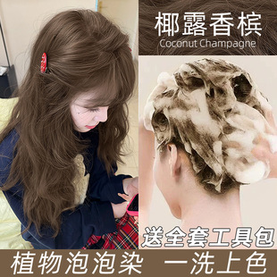 ������ƯҬ¶�㙉����Ⱦ�l����2026����ɫ�Լ�Ⱦ黹������@��ֲ��