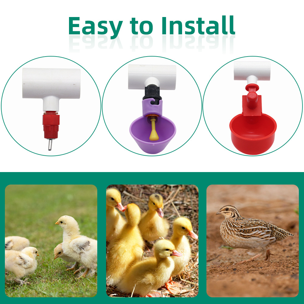 Equipo de tres vías de la cría del pollo del PVC de la fuente de consumición automática del pollo, del Pato y del Ganso