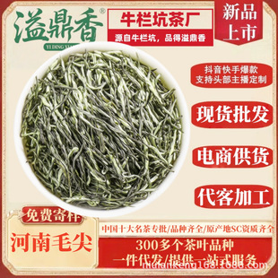 �綦�����ë��G��2026��ë���ͶY��ɽ��F����ȸ��ɢ�b���~�²�