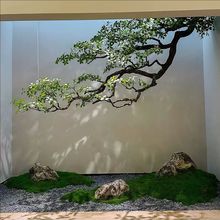 ��Ʒ���캣�u�����Ғ컨ˇ�Gֲ�쾰�҃ș���ֲ�����٘侰�^�b�