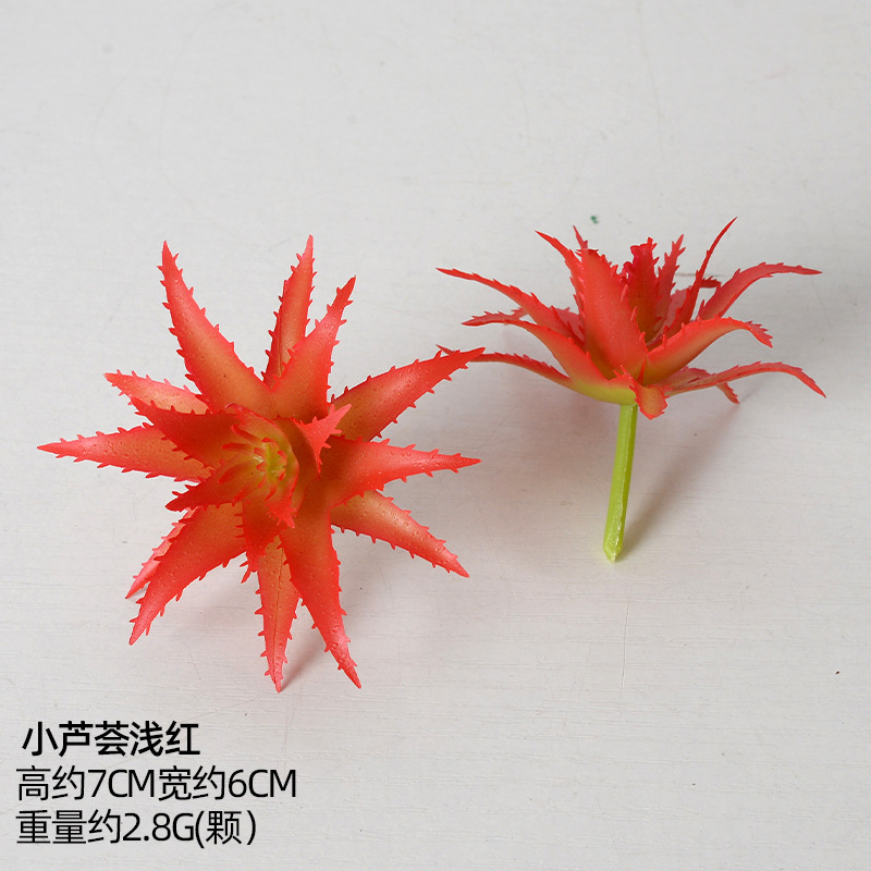Simulación transfronteriza suculenta especial para plantación de aloe vera pequeña plantación verde pequeña plantación de bonsai pequeña plantación de flores suculentas accesorios diy falso plantación verde