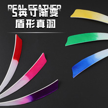 �羳�������5Ӣ����λ��u���𹭼�����ë��Ⱦ�^�u׃���S�����l
