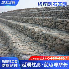 ʯ�\�W���e�W����\���eʯ�\�ߠ������Z�o�|�U�z�\��