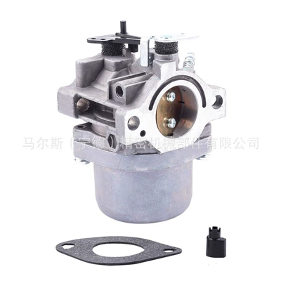 799728 carburetor 494392 Carburetor