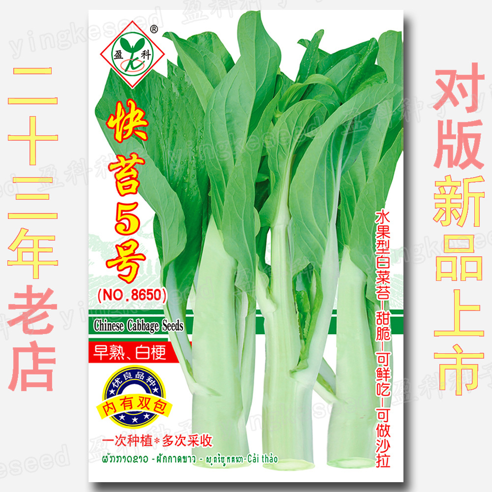 快苔5号早熟白梗白菜薹种子 约3000粒 四季甜脆 水果型白菜苔种籽