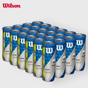 Wilso�����d�W�� �Ϻ���ِ���þW���ِ���W�� 3ֻ�b�z���b�W��