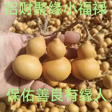 ��1221�˺��u����Ȼ����С���J���{���J����С���J�ְѼ���