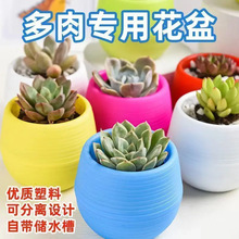 ����ֲ��û���ʺ�ʯ�軨�脓��A�������Ԅ���ˮ��ˮ���˻���