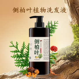 纯配方代熬侧柏叶皂角洗发水植物养发生姜控油去屑止痒潮抱洗发水