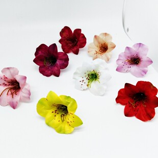 ��ɫ�M�����Sβ��ݼt������ٻ��ʯõ���ɣ�����򽁻��Ҿ��b��