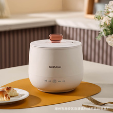 一件代发多功能小型电饭锅煮饭煮粥锅电火锅1一2人智能家电礼品