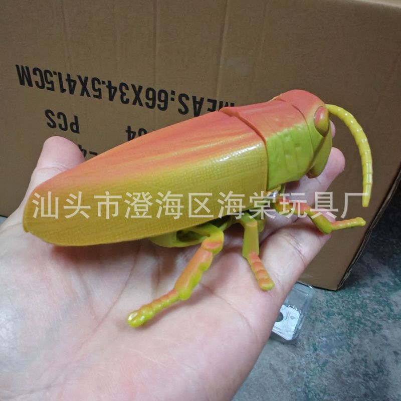 新款上链发条昆虫动物儿童认知小动物蚂蚱仿真模型独角仙小玩具|undefined