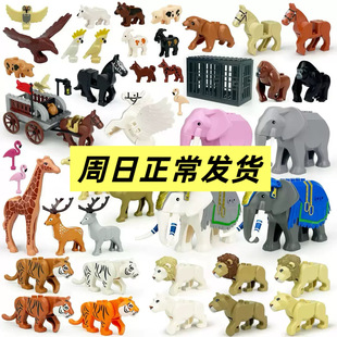 �羳���l����eľ������R�����Z���L�i¹�񄃺ͯС�w��ƴ�����