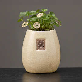 2025新款无孔陶瓷盆大口径水培器皿莲花花盆养莲子水养水仙缸