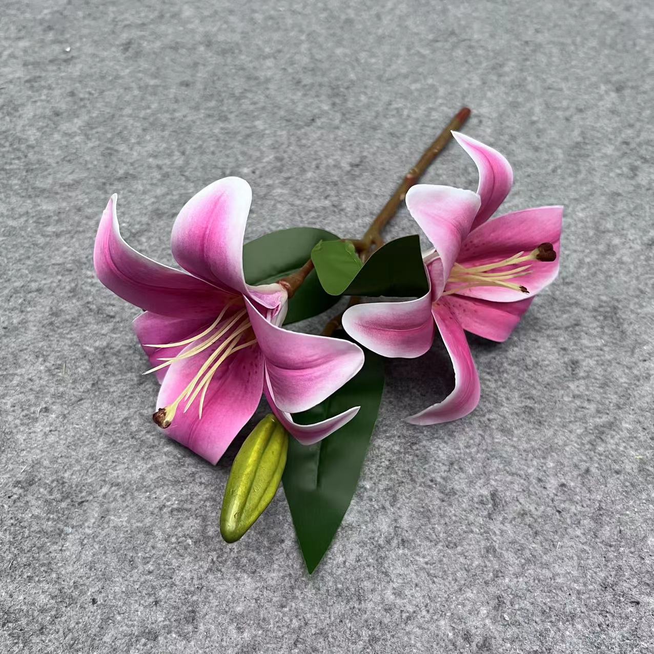 3D 릴리 그라디언트 파우더