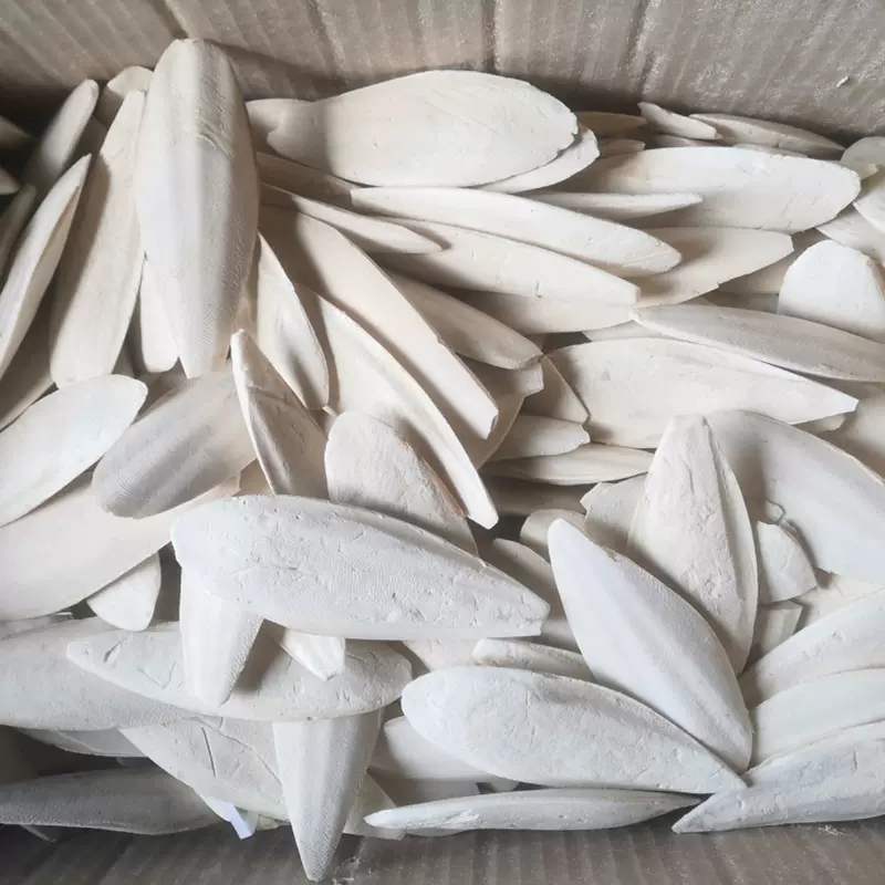 源头工厂修边墨鱼骨纯天然鹦鹉仓鼠类宠物补钙磨牙鸟用具墨鱼骨串