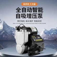 不锈钢增压泵防冻裂静音家用增压水泵全自动热水器全屋增压自吸泵