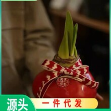 �ش���피t�M���ذ�N��ޟo�Դ�N�����Ի����p��������������