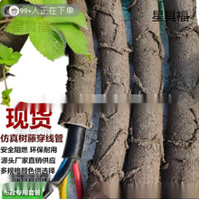 ���ϸɘ�֦늾����@��ľ���ٗl�bܷ�Ƥ������Ę��ٴ�������