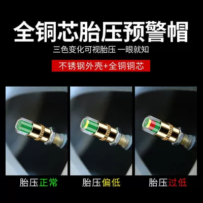 steel tire pressure monitor — Tire pressure monitoring system