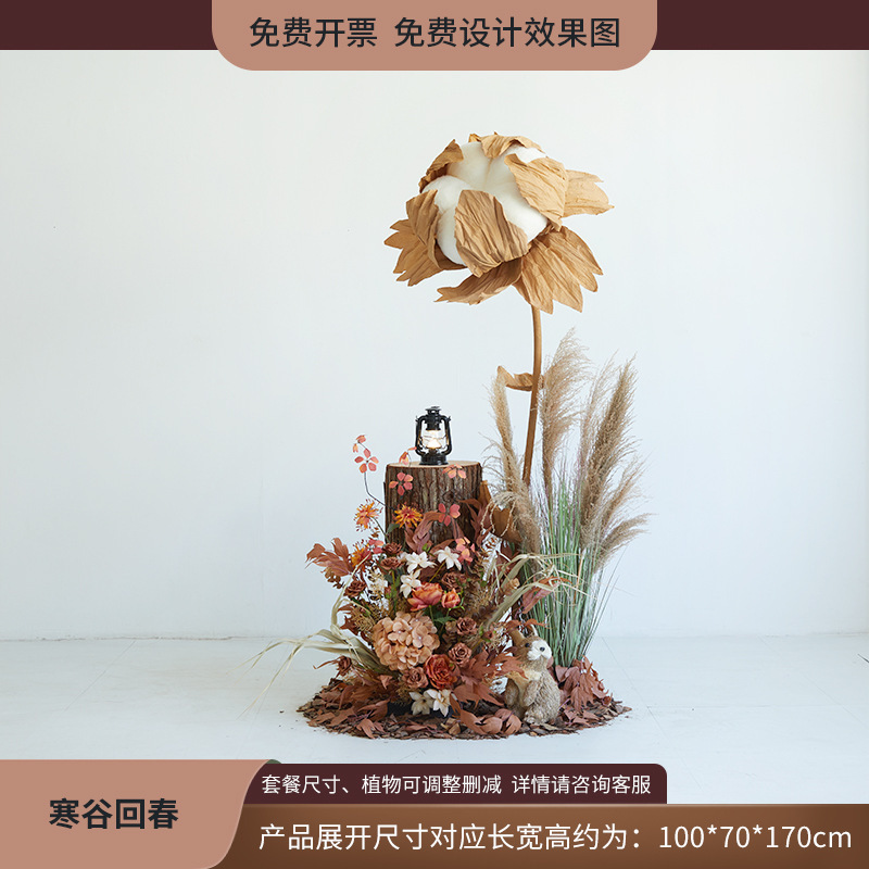 植物造景假绿植棉花云朵芦苇干花装饰直播间秋冬橱窗场景布置日暖|undefined